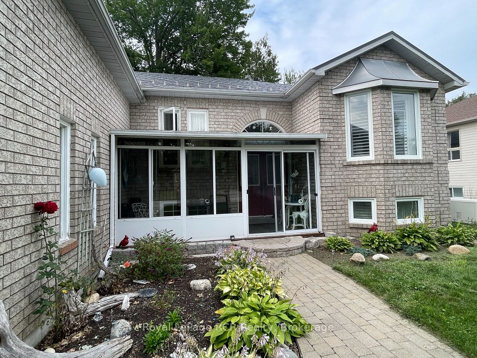 77 SILVER BIRCH