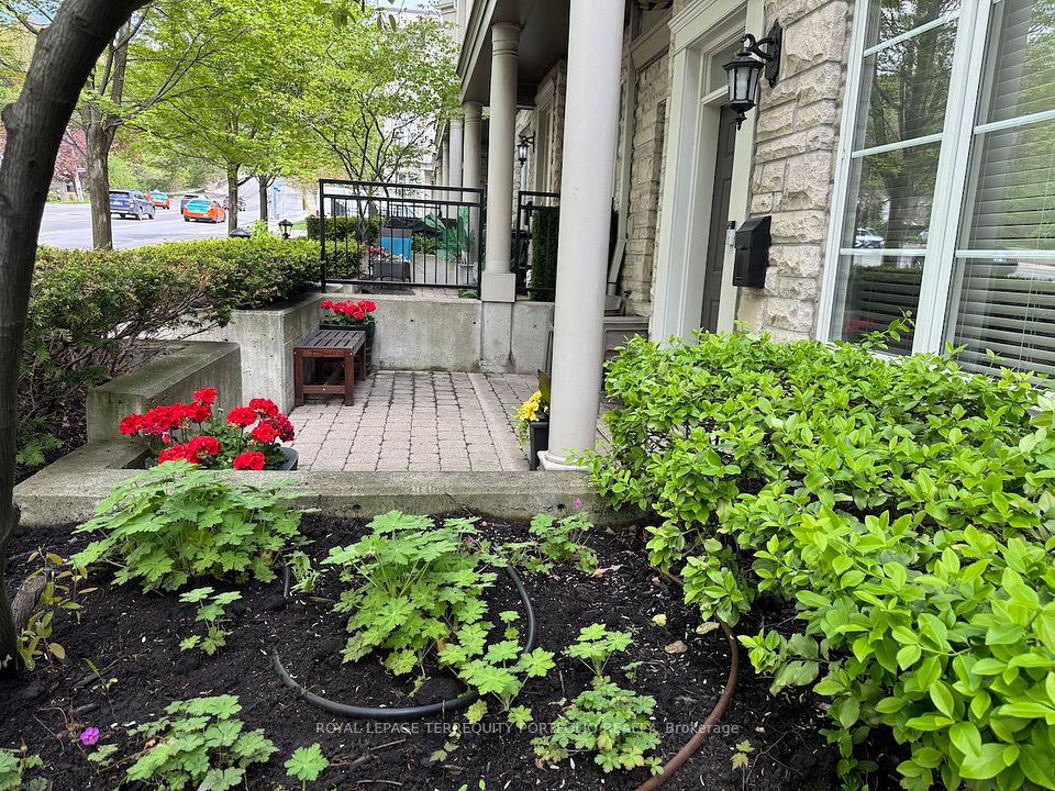 51 York Mills