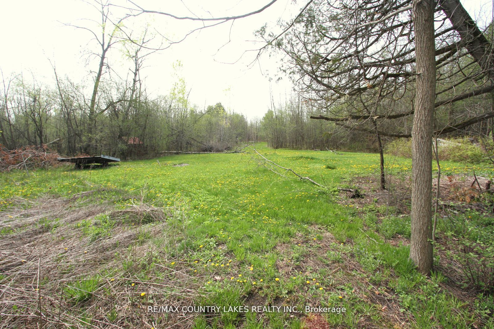 B40440 Shore Road