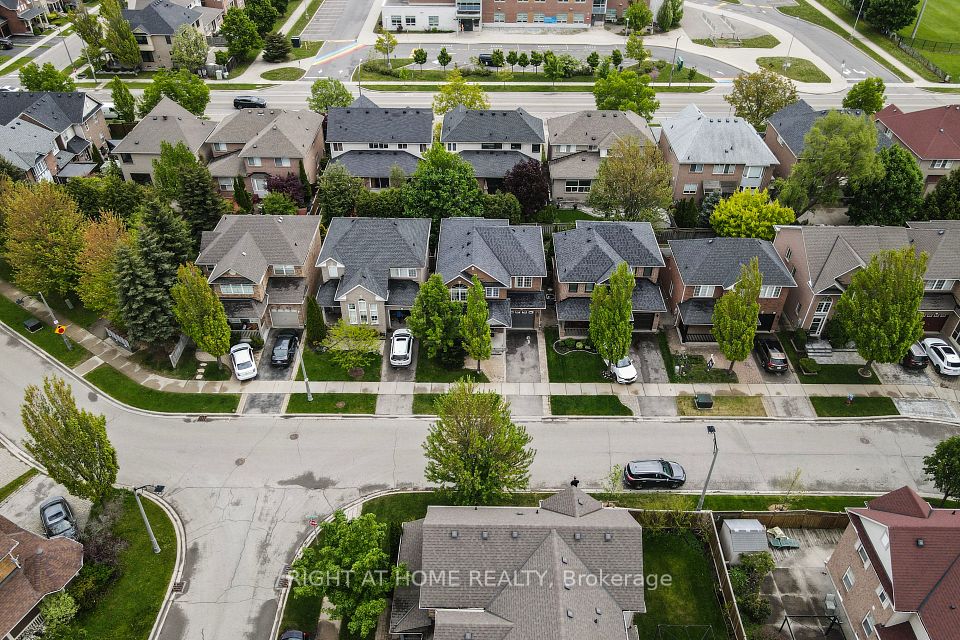 2546 DASHWOOD