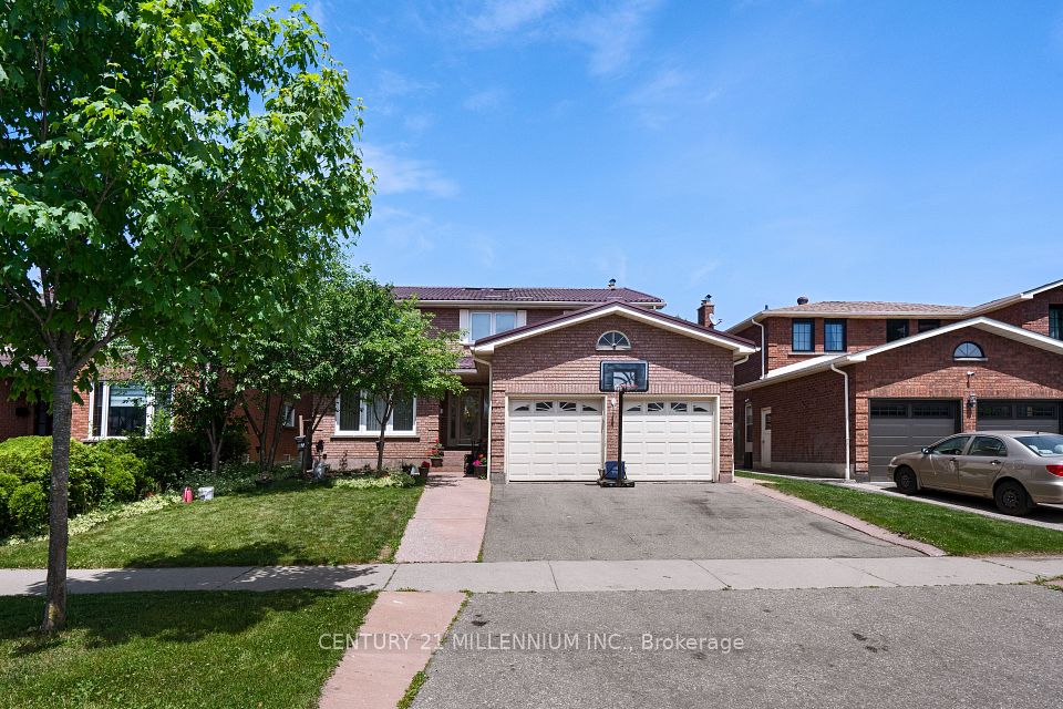 29 Mossbank