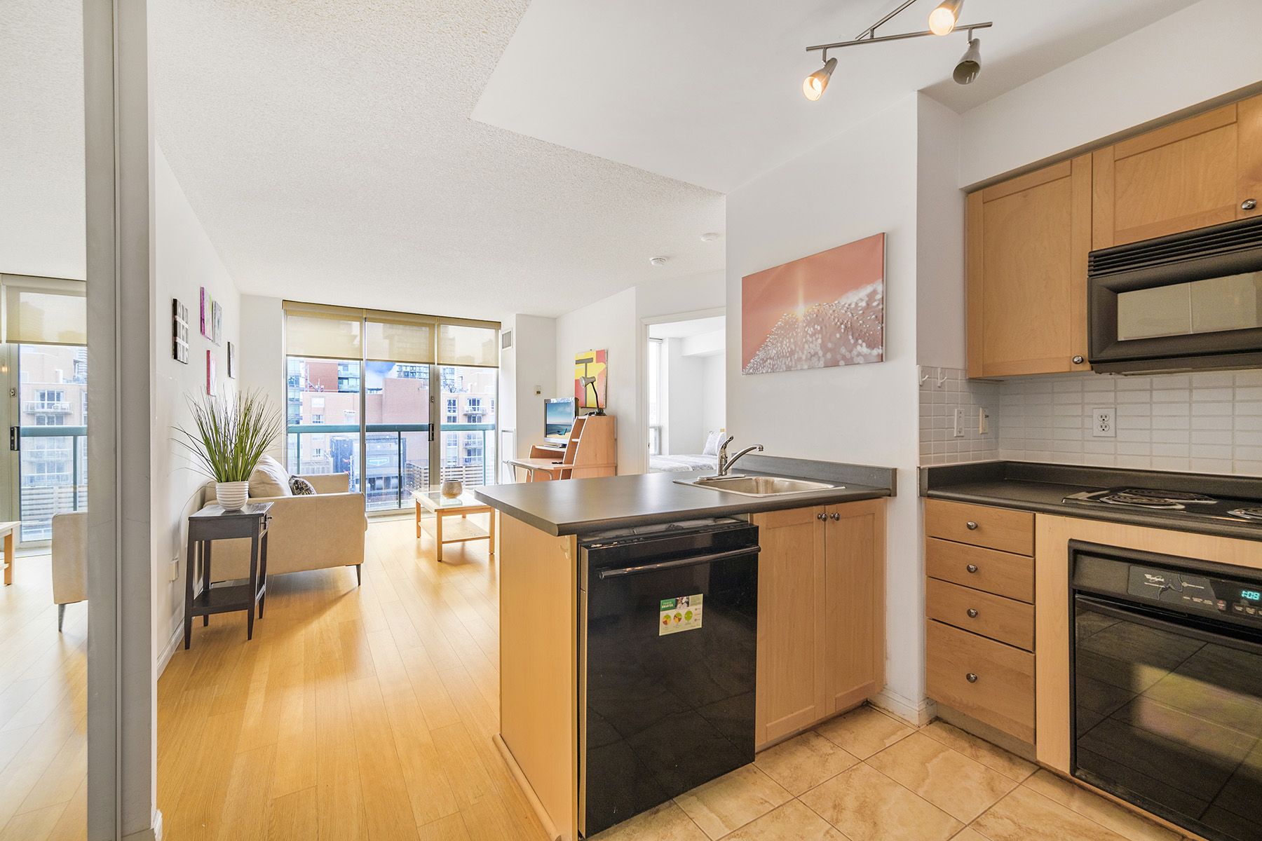 311 Richmond Street E 1009