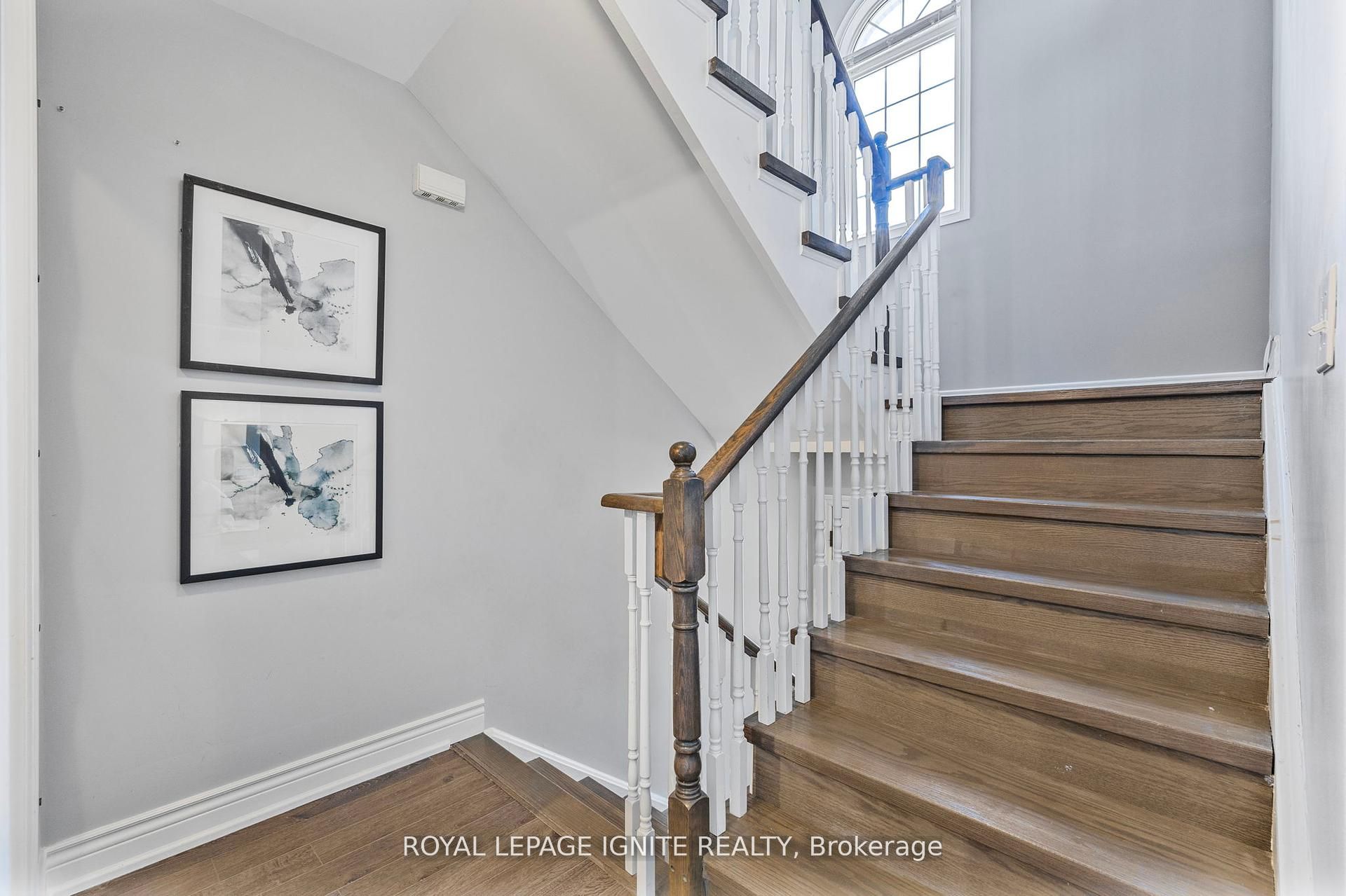 12 Eli Shackleton Court