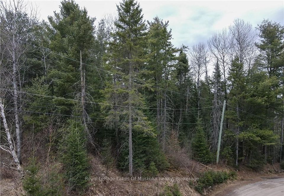 00 OLD MUSKOKA Road, Perry, ON P0A 1J0
