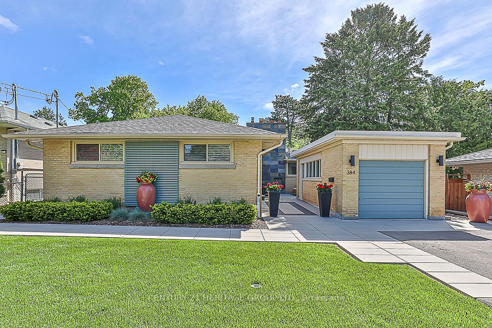 384 Sugar Maple