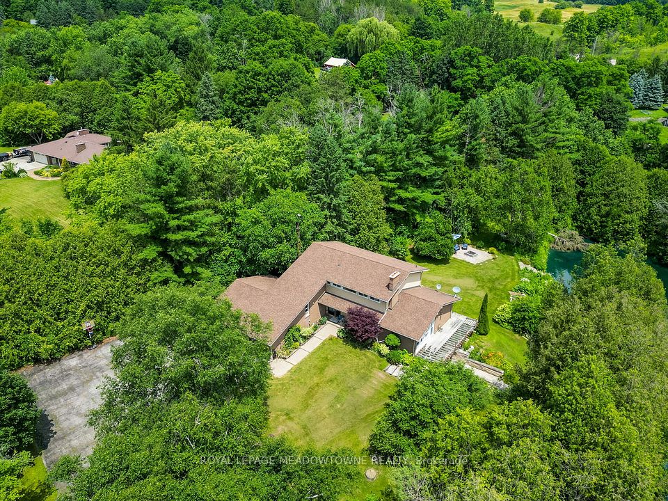 1 Cedar