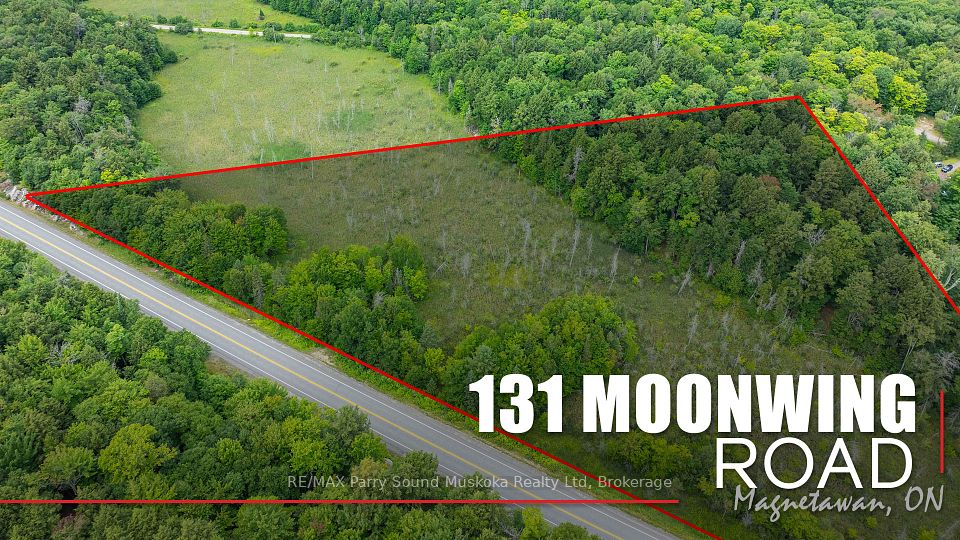 131 MOONWING
