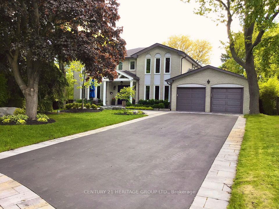 12 Cedar Forest