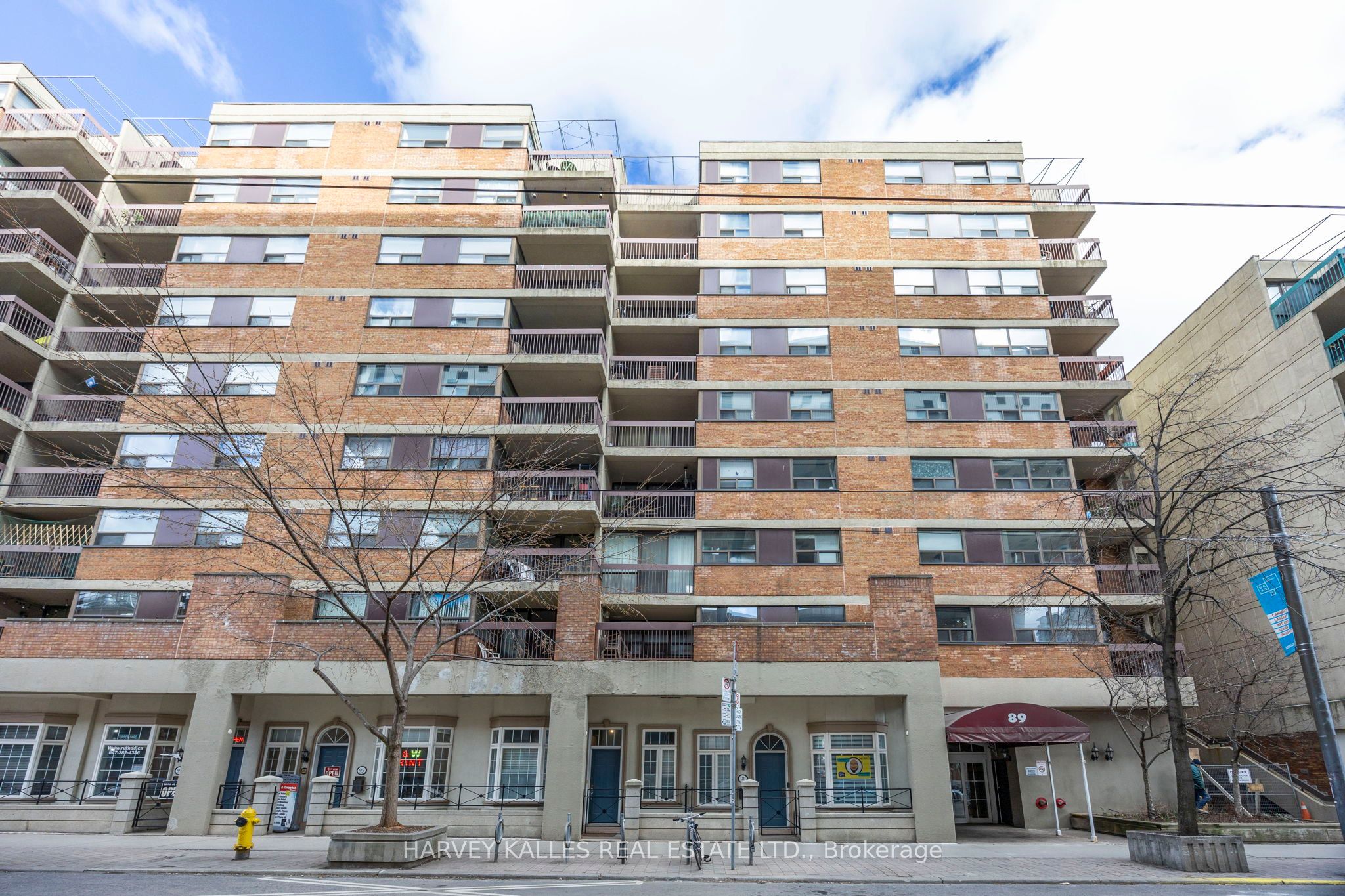 89 Mccaul Street 923