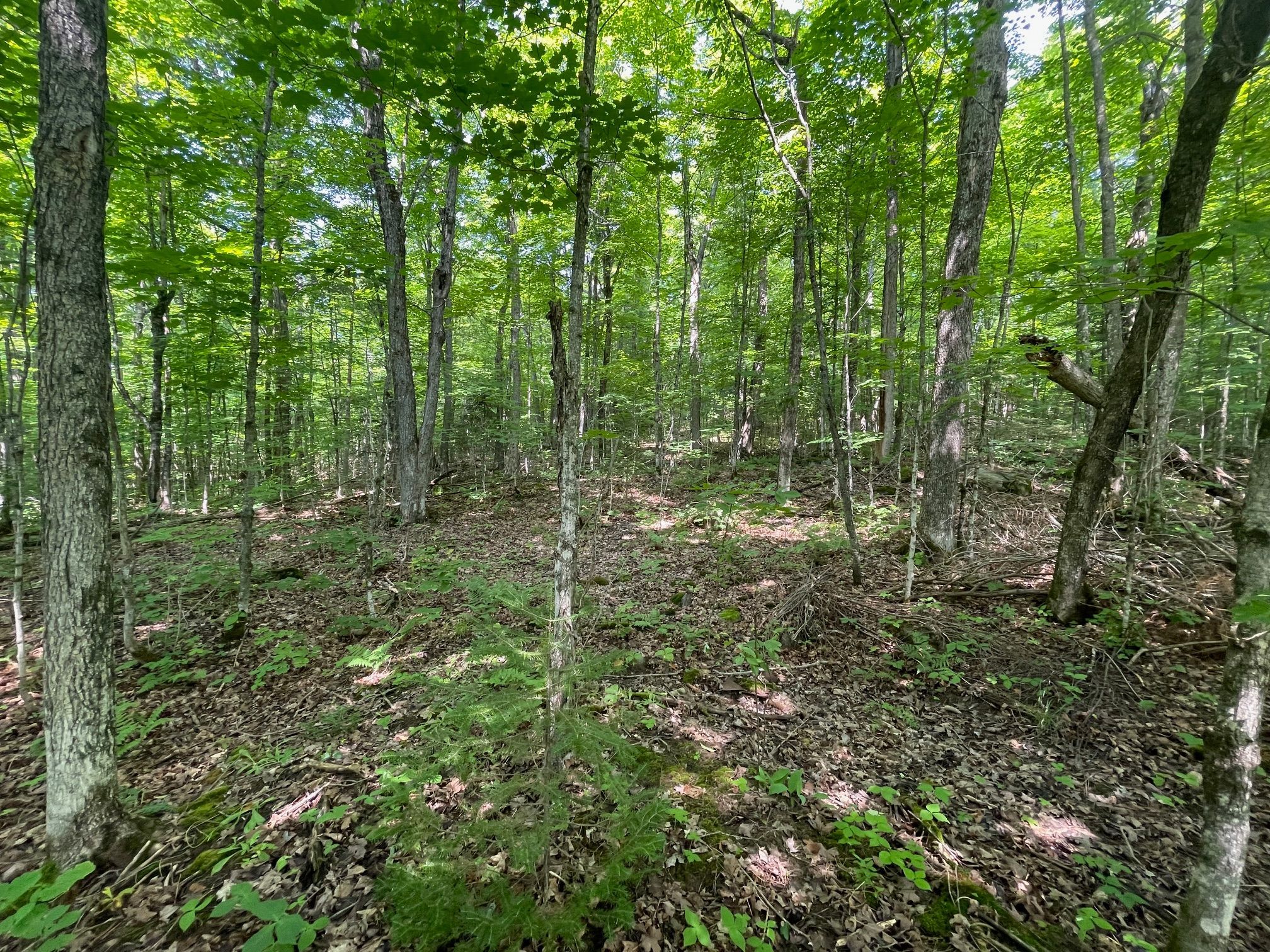 285 Chapman Drive Magnetawan Ontario P0A 1P0