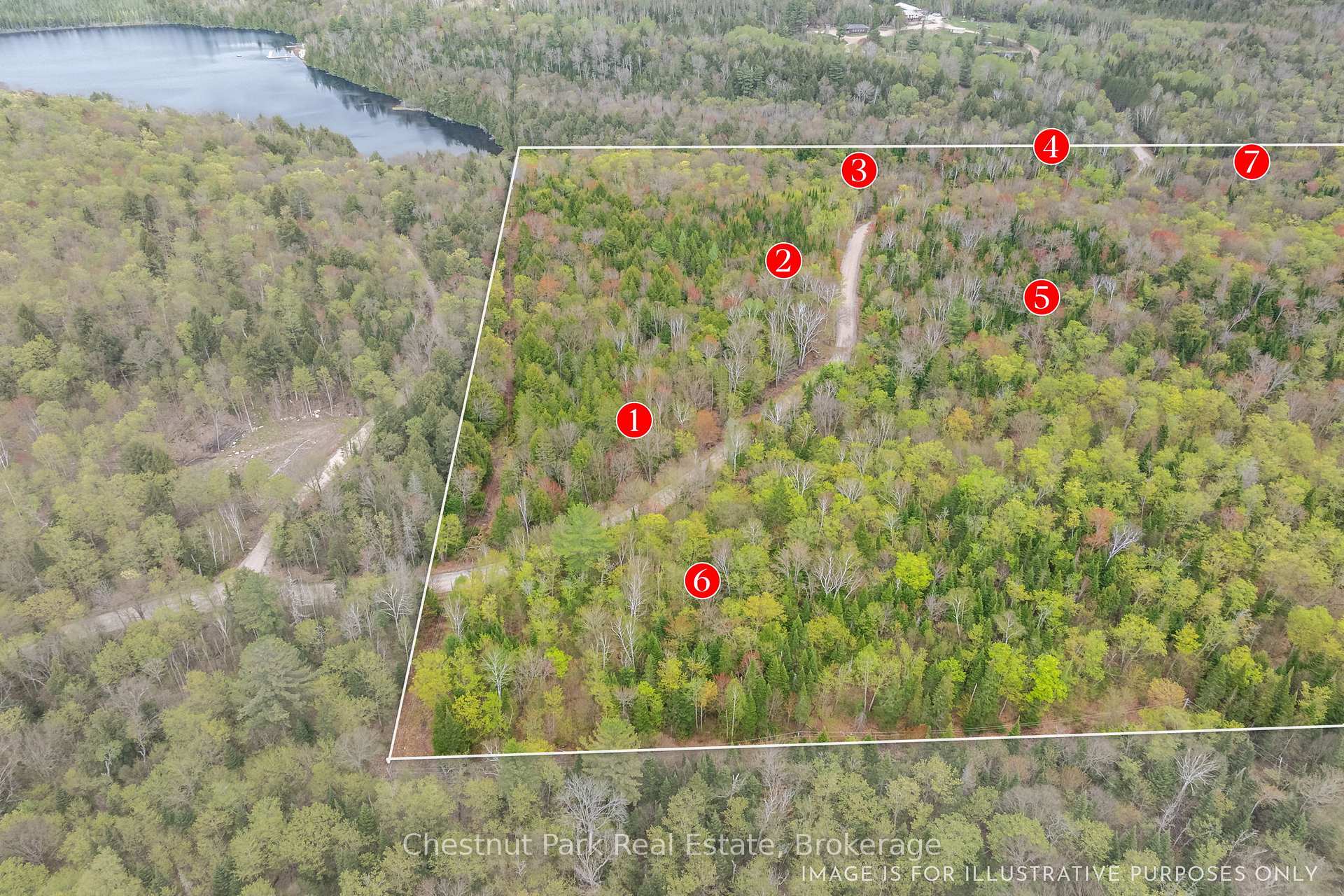 Listing image