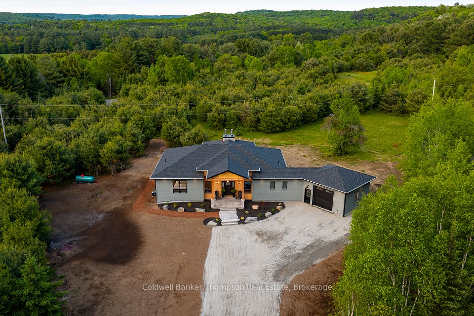 175 Springfield