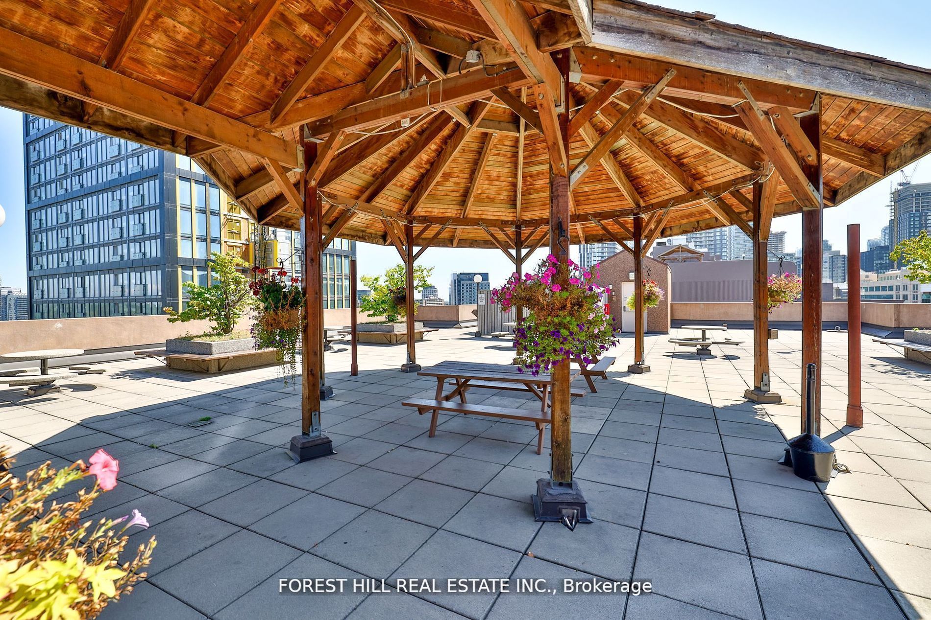 117 Gerrard Street, #503