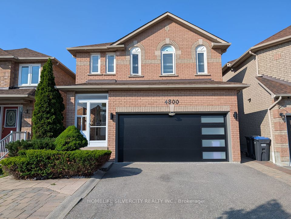 4800 Rosebush