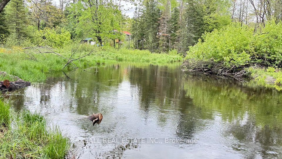 2348 Northeys Bay Road, North Kawartha, ON K0L 2H0