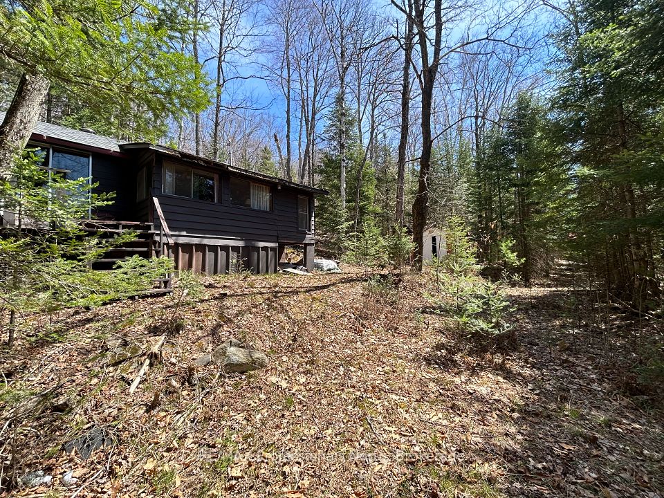 1202 Poverty Bay