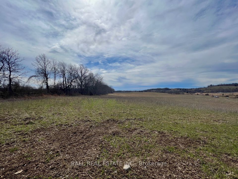 231 Concession 11 W