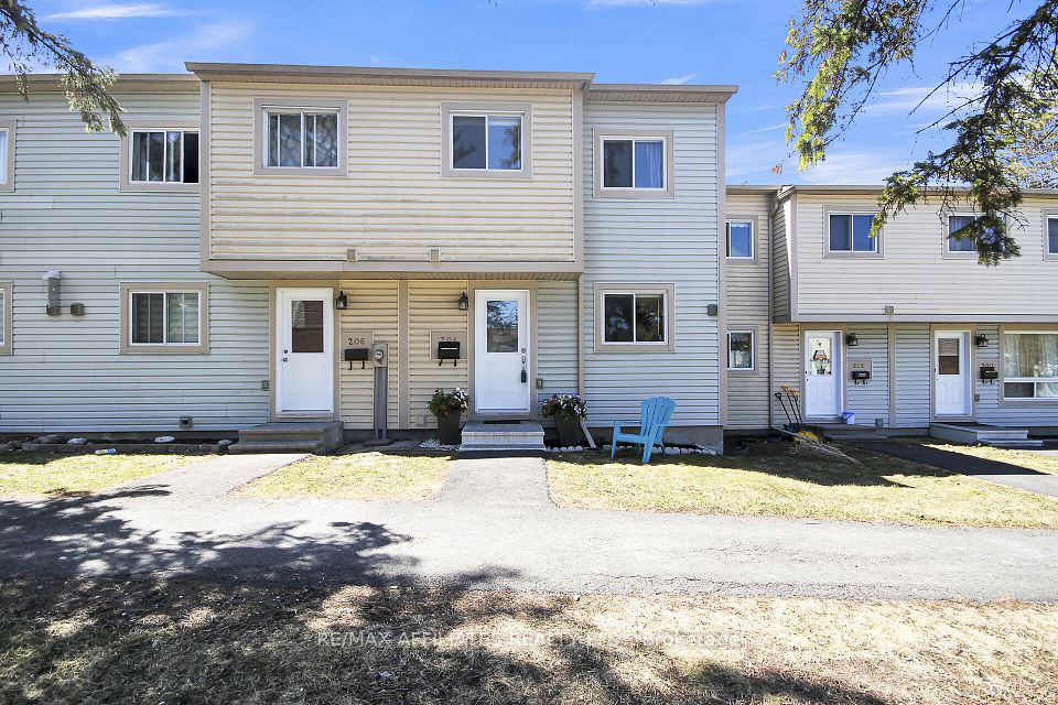 204 Cattail