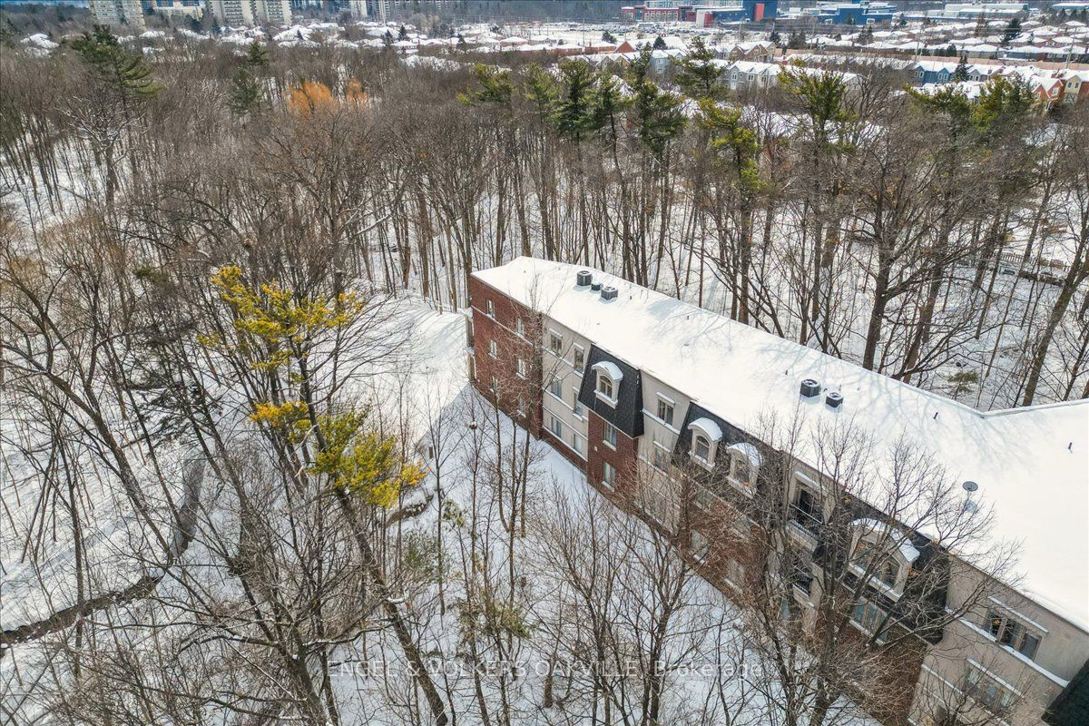 390 Upper Middle Road E, #306