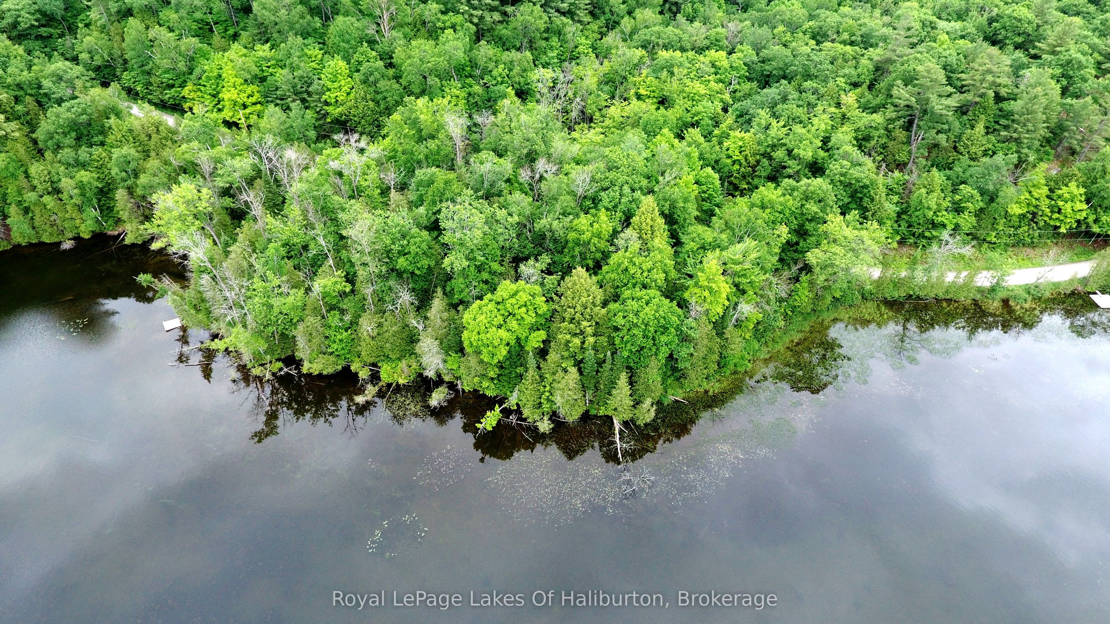 0 SOUTH BEAVER LAKE Lane, Minden Hills, ON K0M 2L1