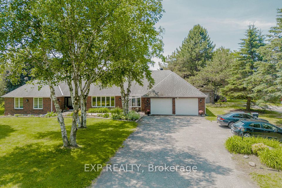 16786 Mount Wolfe