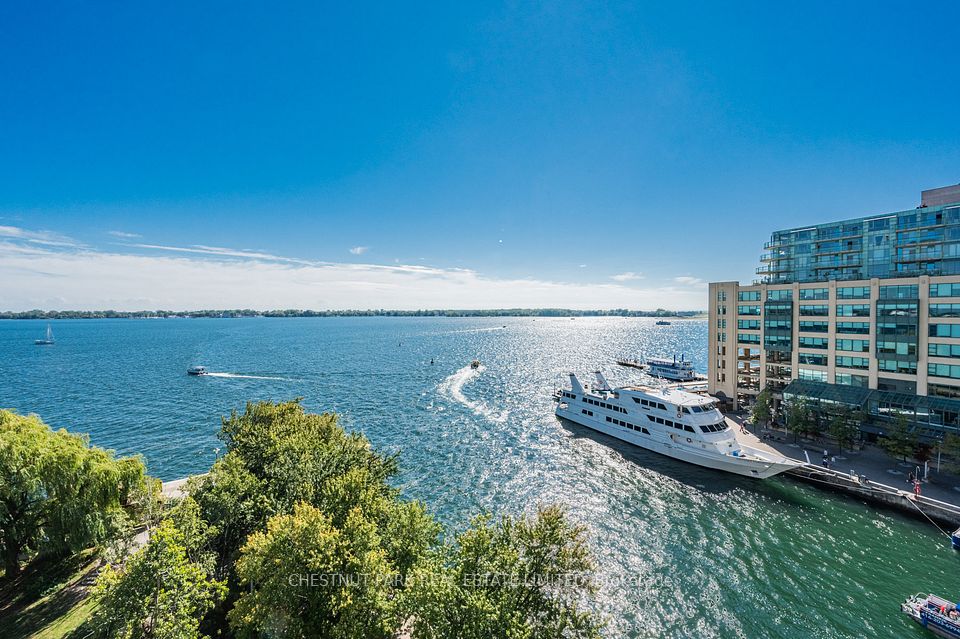 99 Harbour