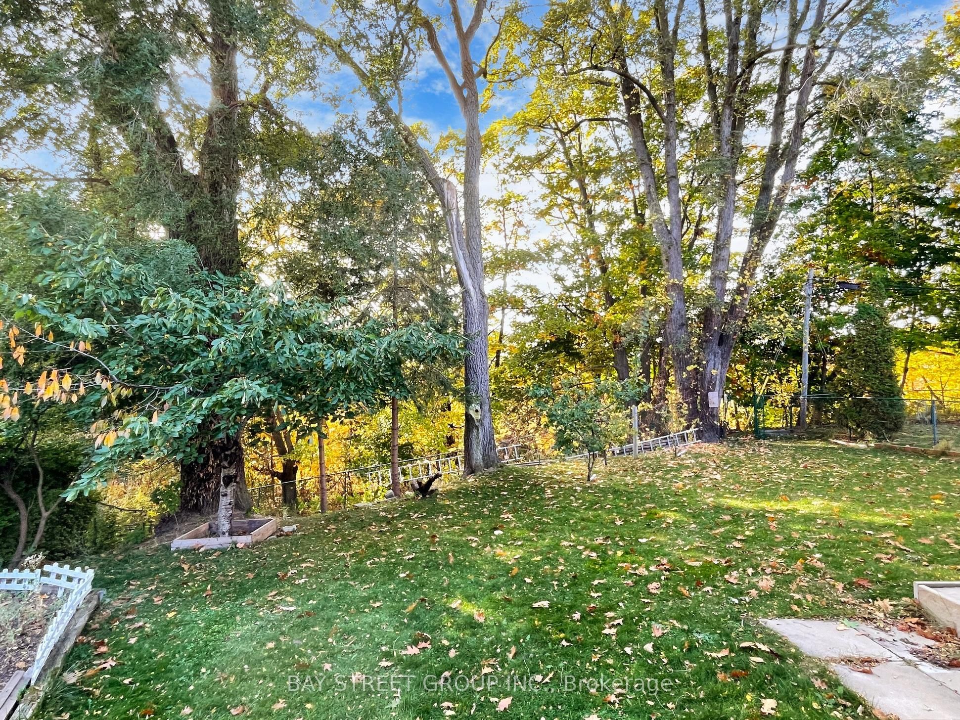 45 Enfield Avenue