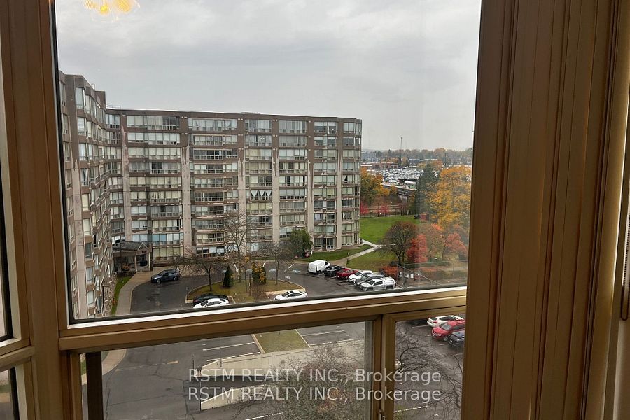 175 Cedar