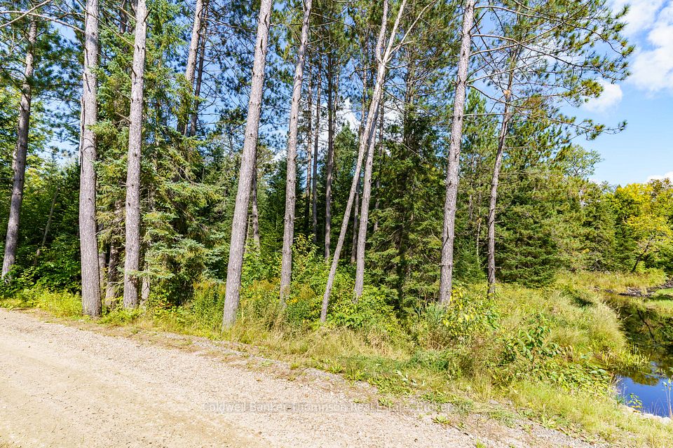 0 Fern Glen Road, McMurrich/Monteith, ON P0A 1Y0