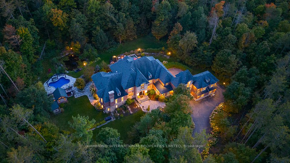 29 Moraine Forest