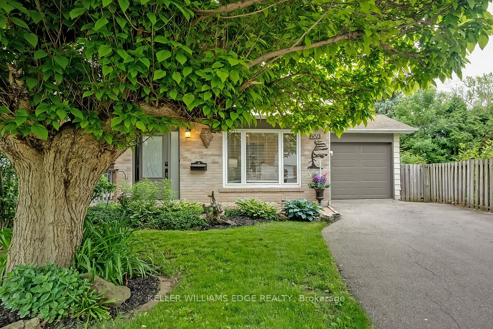 1519 Newlands