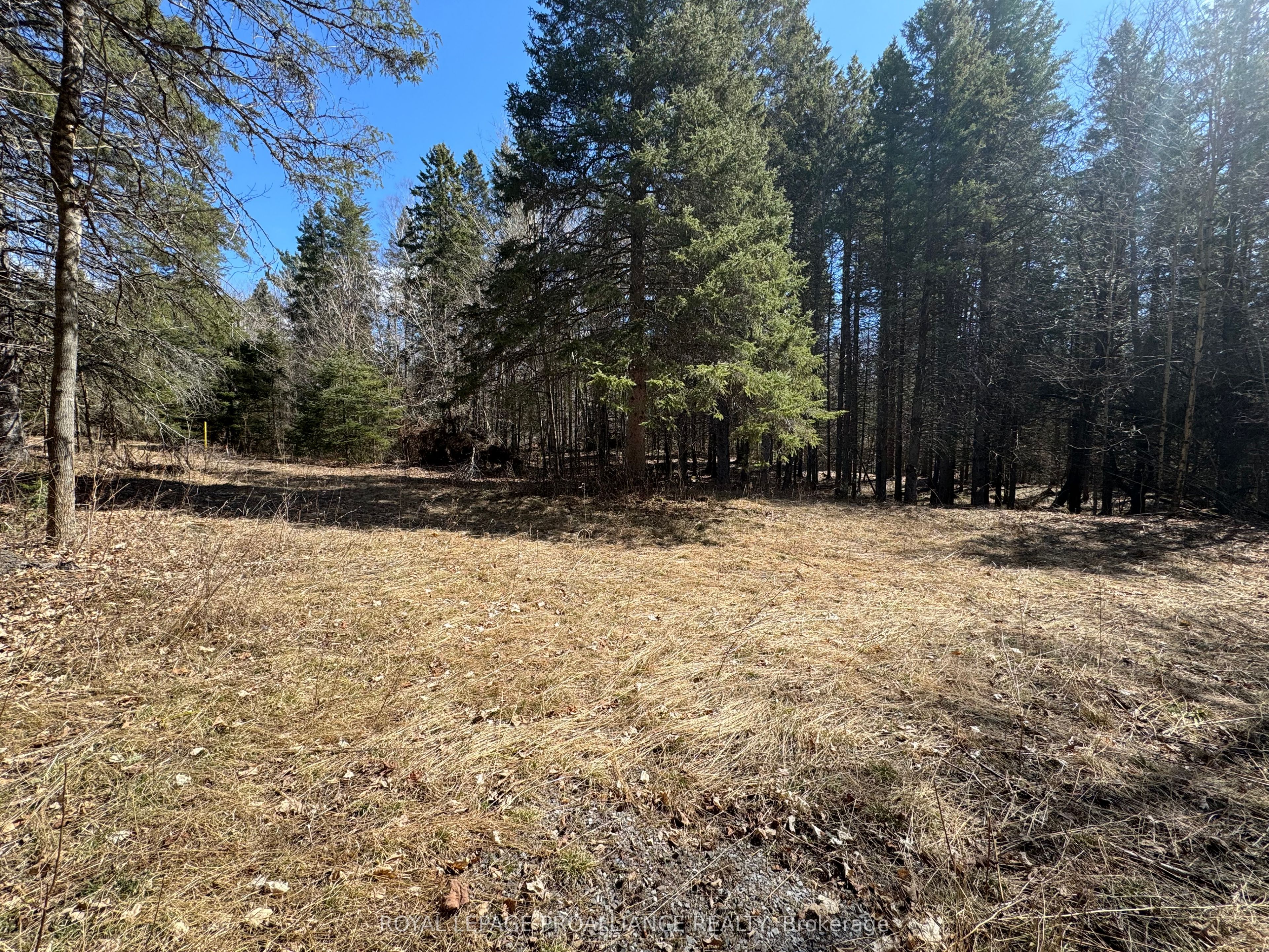 1972 Weslemkoon Lake Road, Tudor & Cashel, ON K0L 1W0