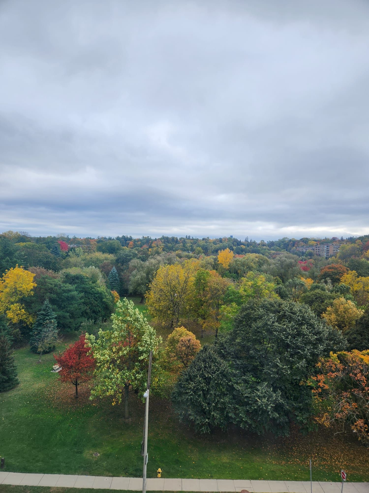 10 Old York Mills Road 605