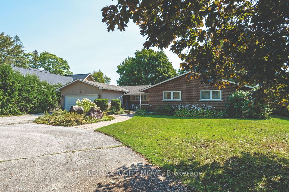 18 Maple