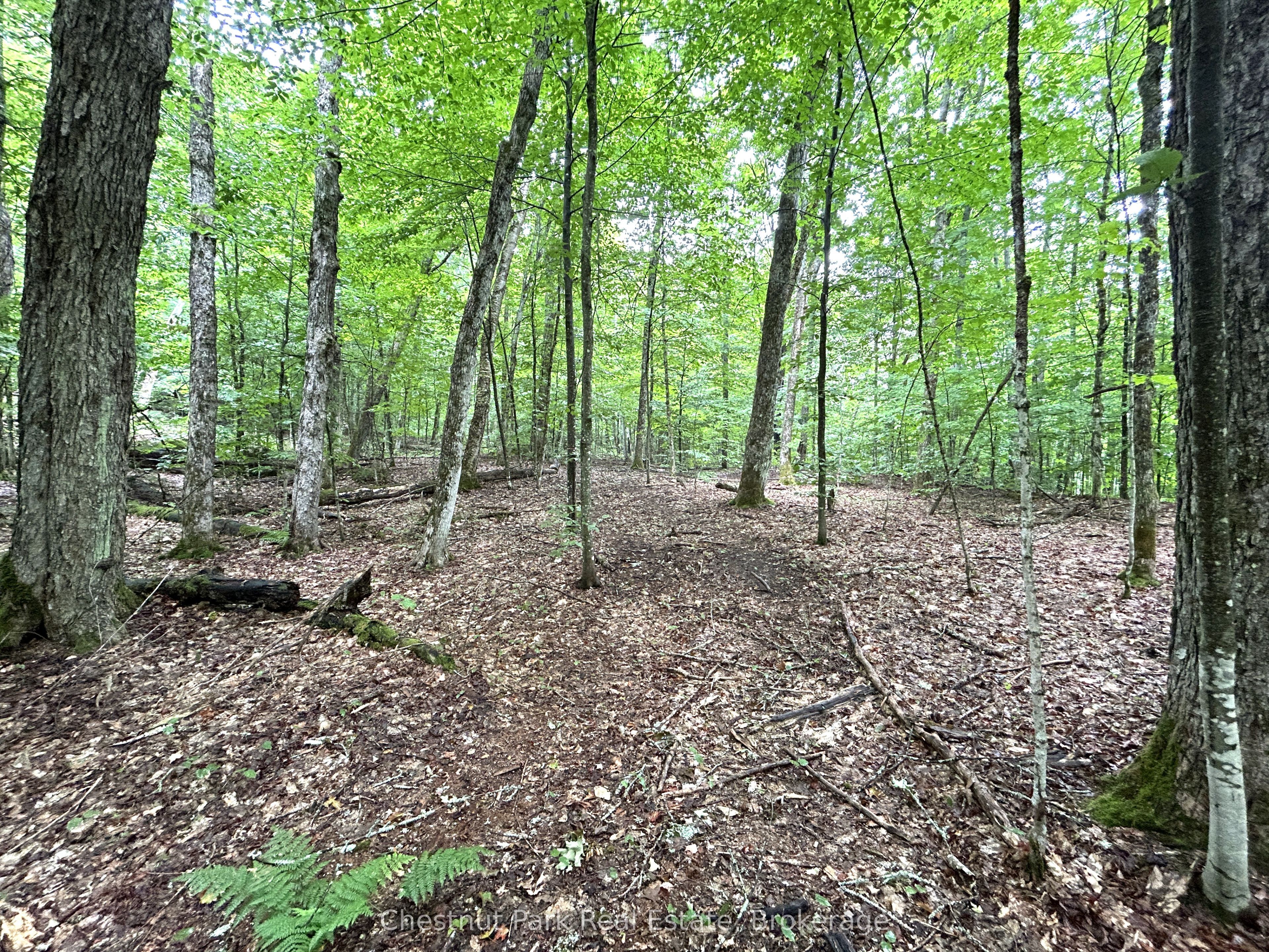 269 Old Muskoka Road, Machar, ON P0A 1H0