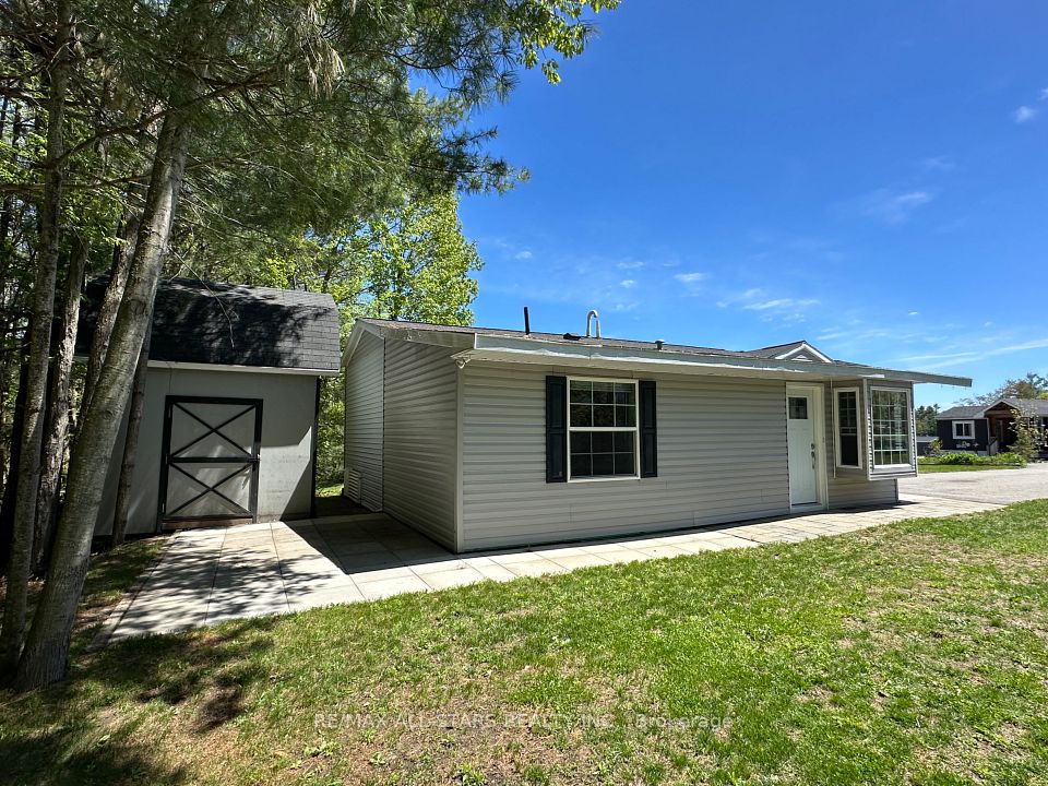 1007- LOT 128 Racoon