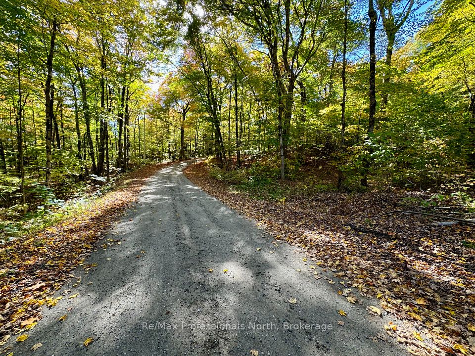 234 LONGS LAKE