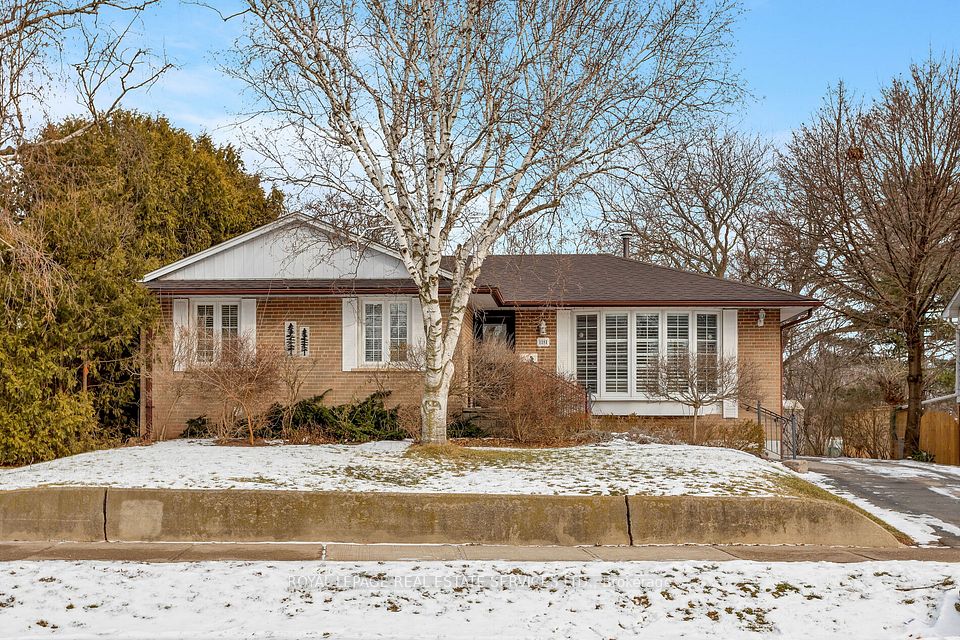 1181 Newton