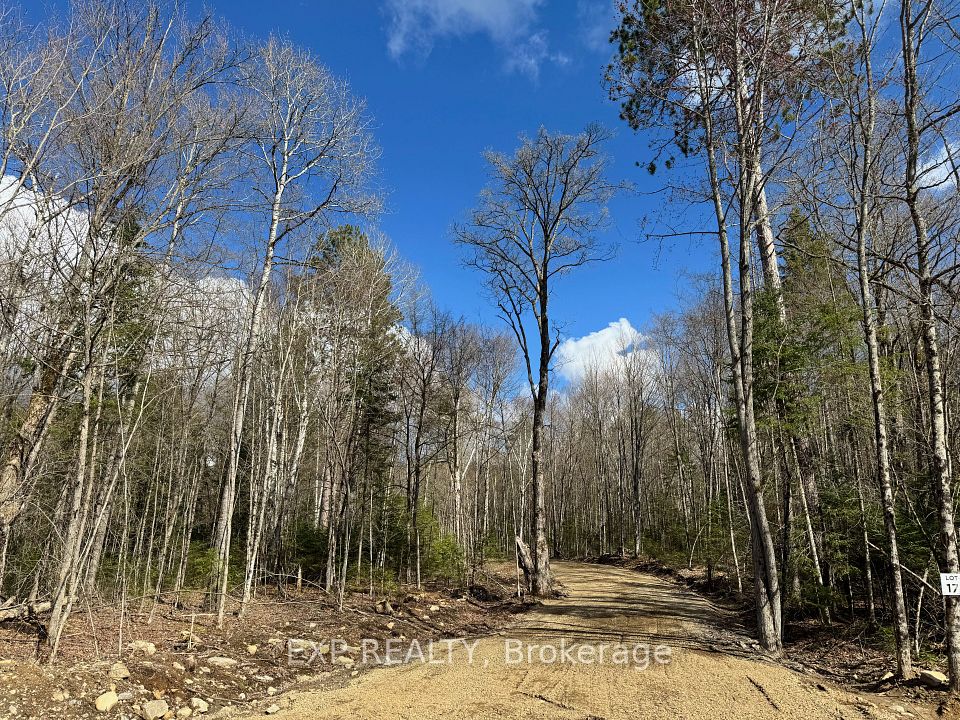 Lot 17 Lakewoods