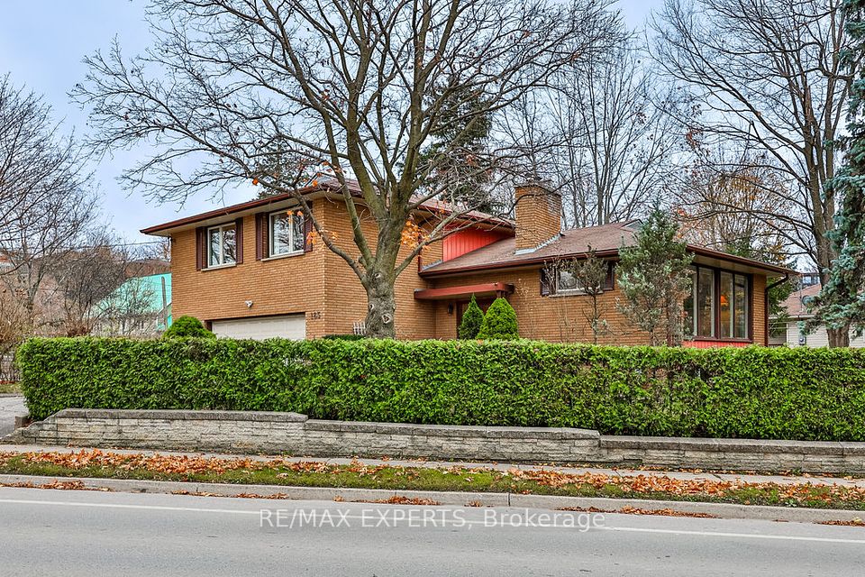 Mature trees and hedge