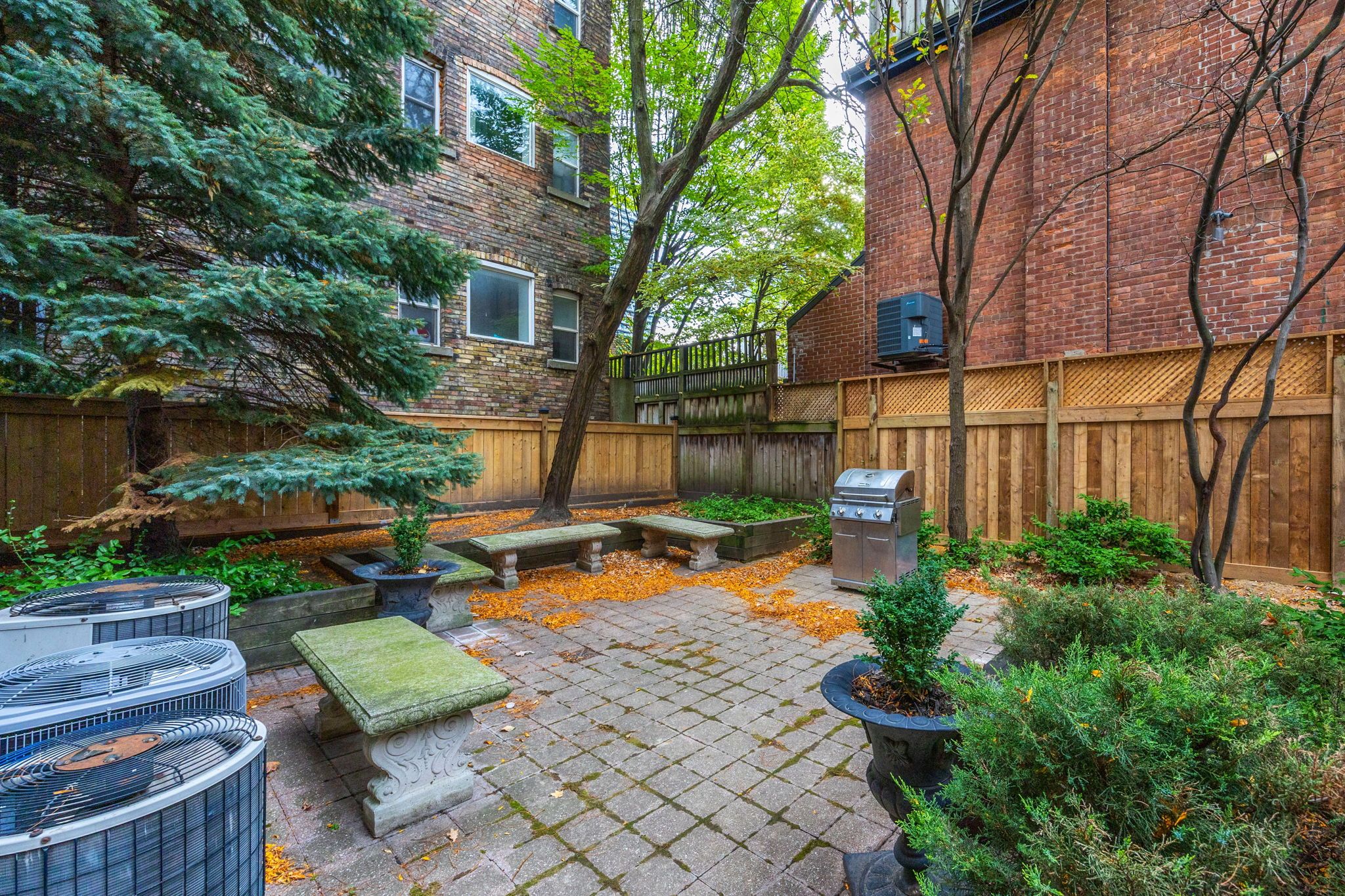 135 Maitland Street W 205