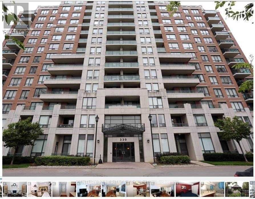 330 Red Maple