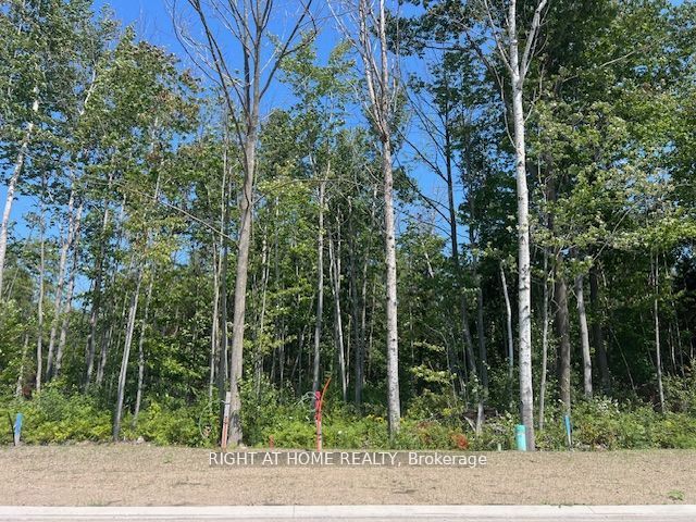 Lot 77 Mapleside