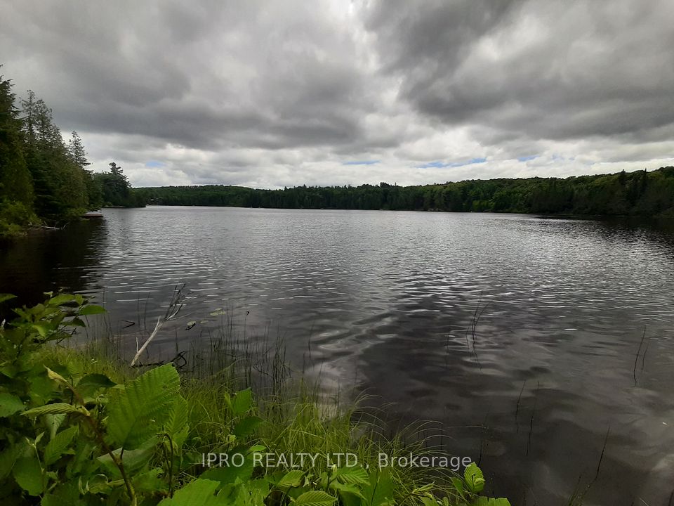 6491-B Opeongo Road