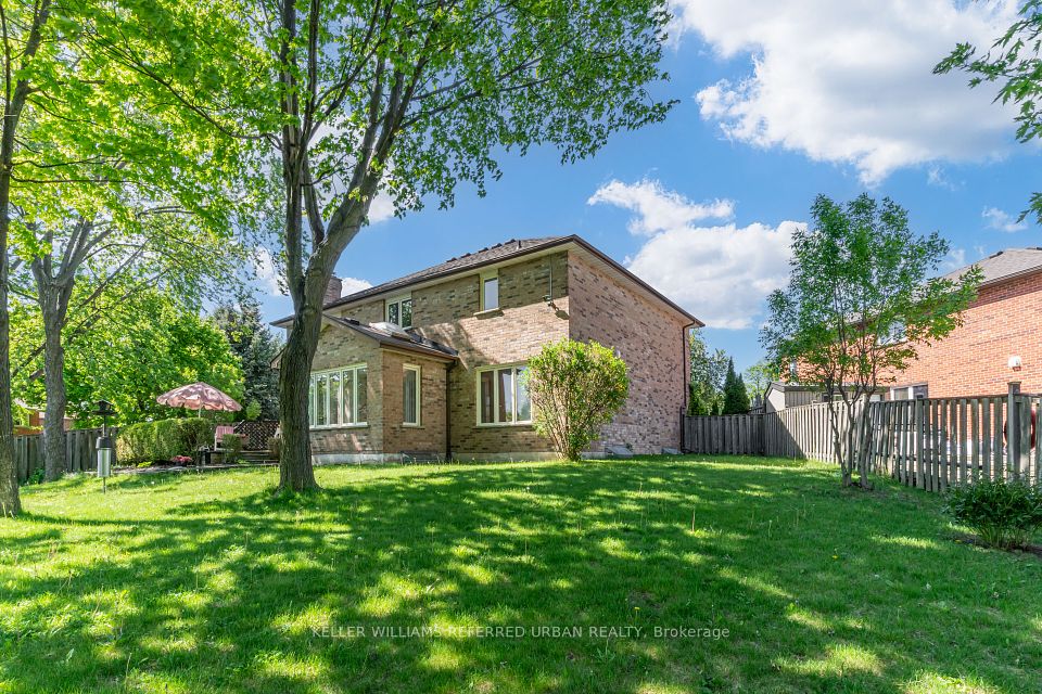 4175 Tall Pine