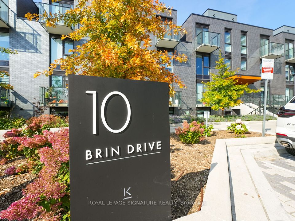 10 Brin