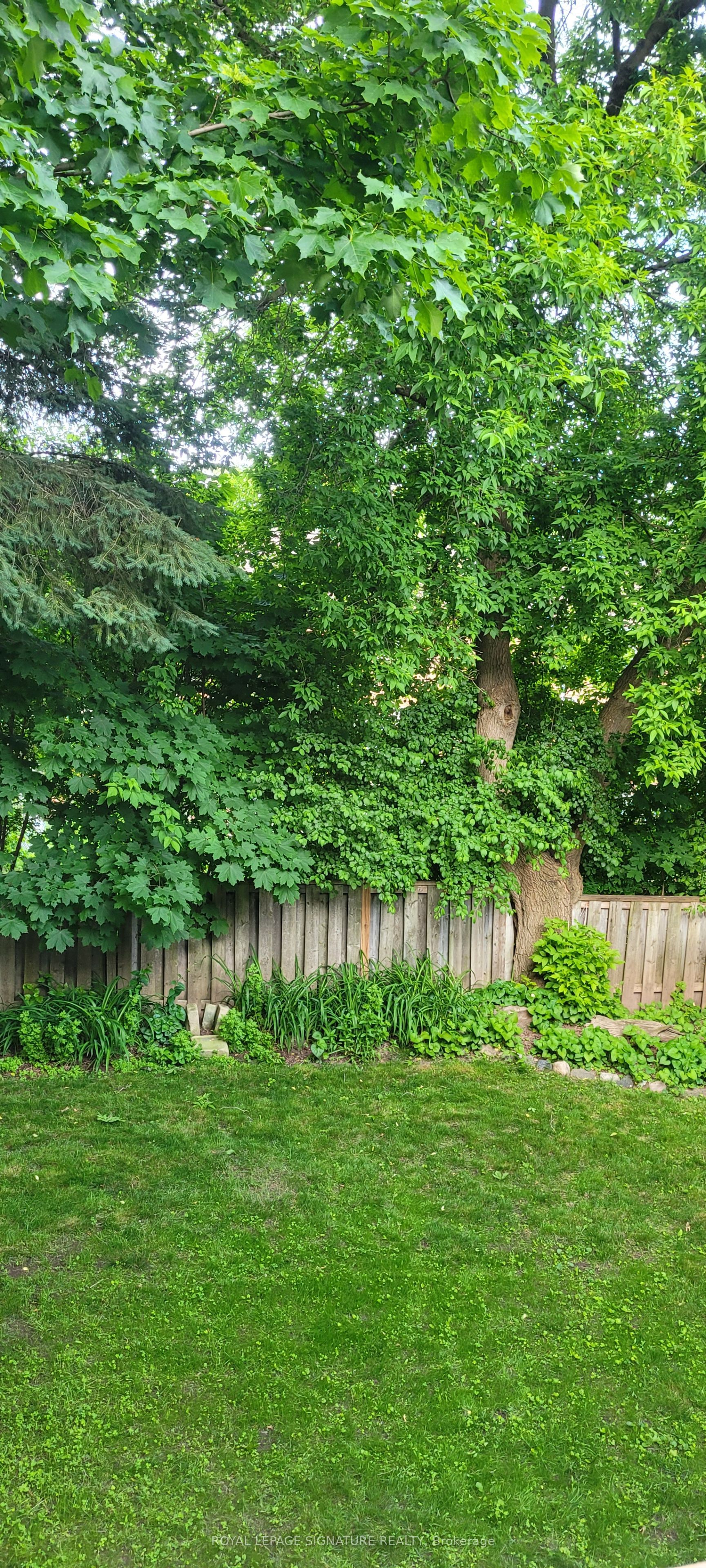 2013 Lynn Heights Drive
