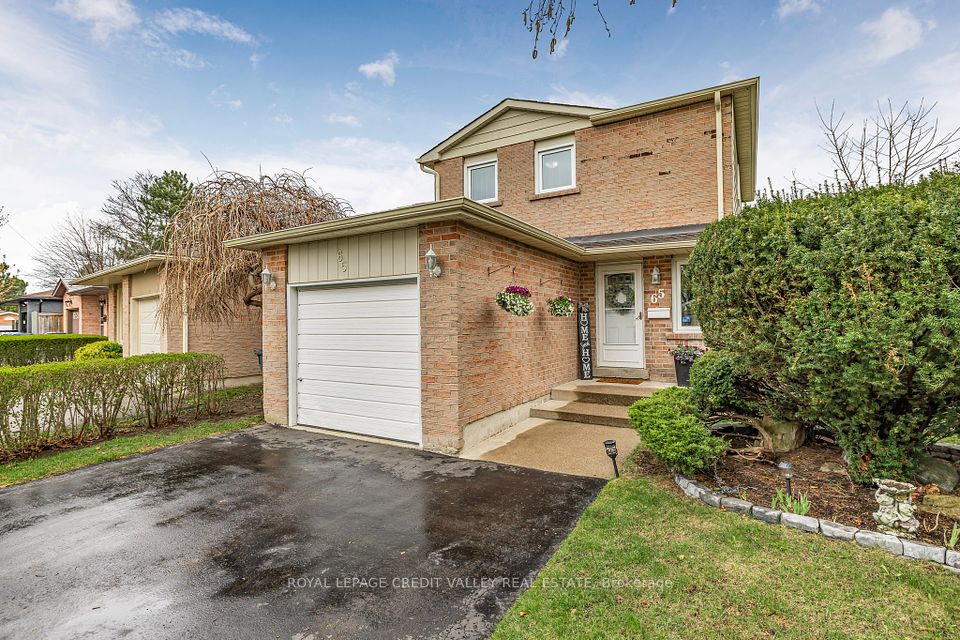 65 Martindale