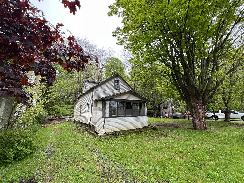 205 Orchard
