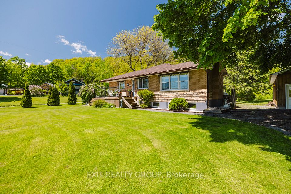 556 Rosebush